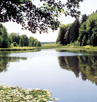 spuren