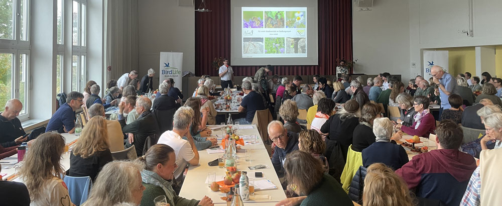 Ausstellung 100 Jahre Naturschutzverein