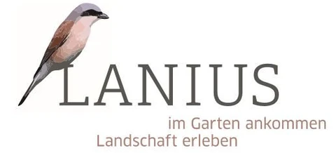 lanius