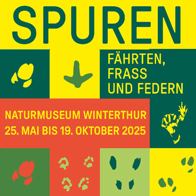 spuren