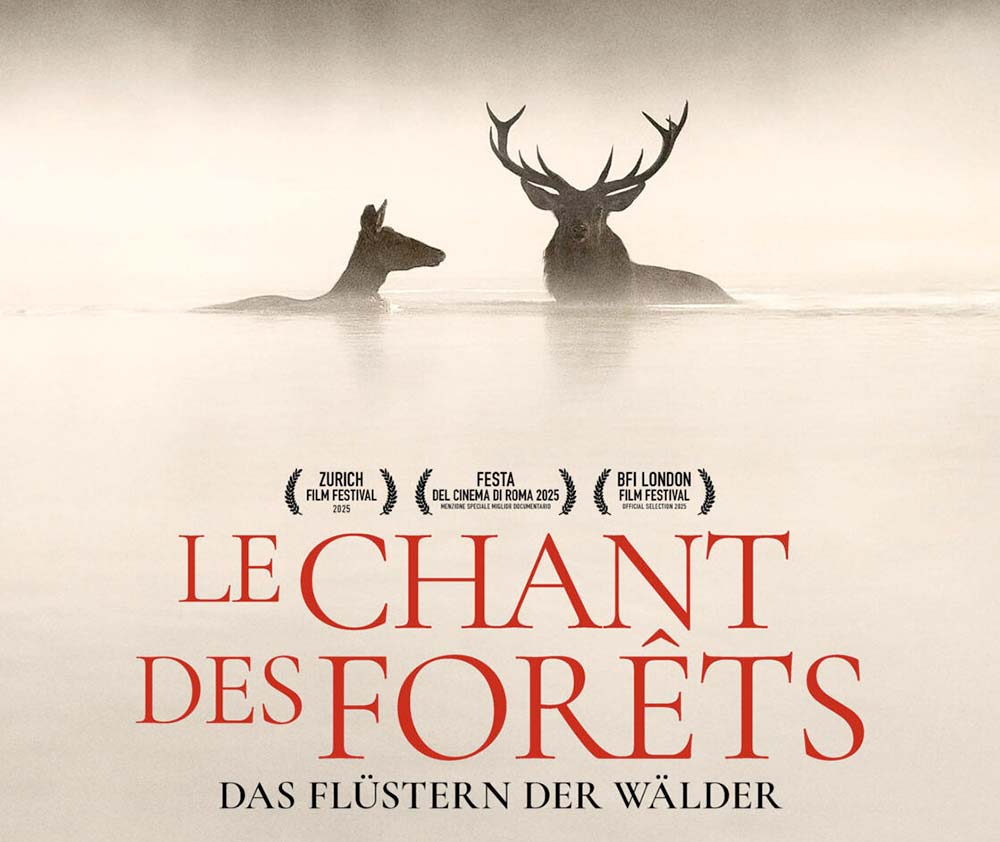 Le Chant des Forets